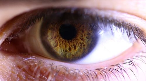 Close-up portrait of human eye