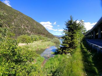 Scenic view of river amidst trees against blue sky