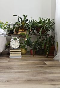 Potted plants on table at home