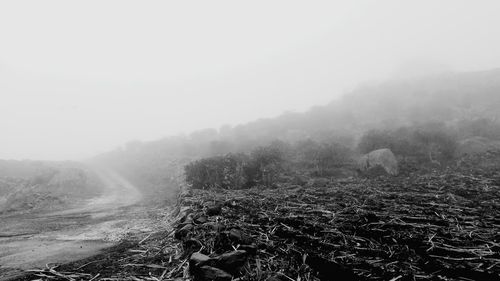 Scenic view of landscape against sky during foggy weather