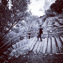 Man standing on bridge against trees