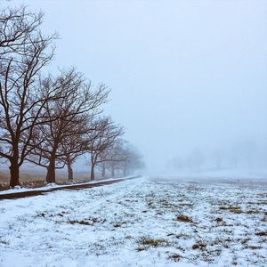 Bare trees on snow covered landscape against sky