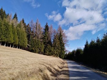 Road amidst trees against sky