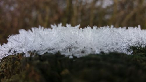 Close-up of frozen water during winter