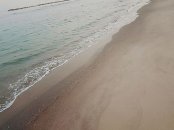 Scenic view of beach