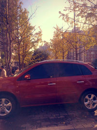 Cars parked on road