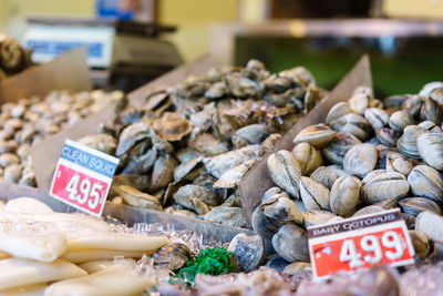 Close-up of food with label and ice at jessie taylor seafood fish market