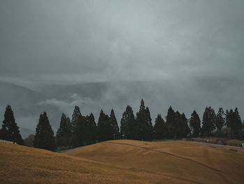 Panoramic shot of trees on land against sky