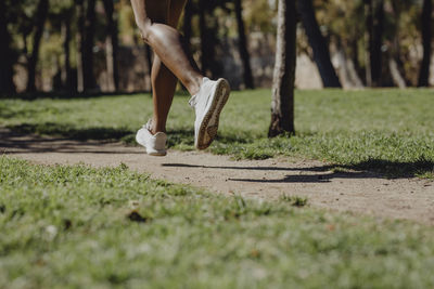 Low section of person on field in park