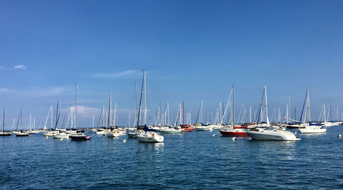Sailboats moored on harbor against sky