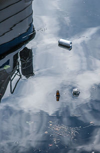 High angle view of floating on water