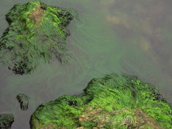 High angle view of rocks by sea