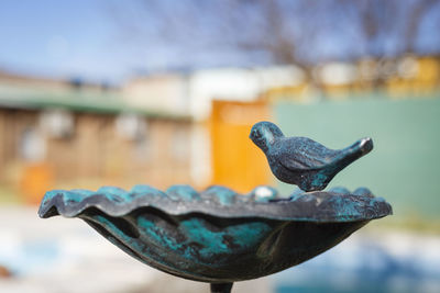 Close-up of a bird