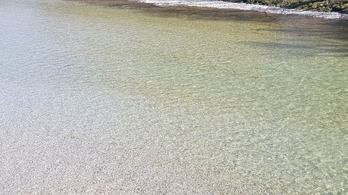 Scenic view of beach