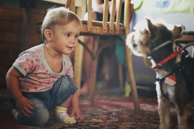 Cute dog looks at the child.