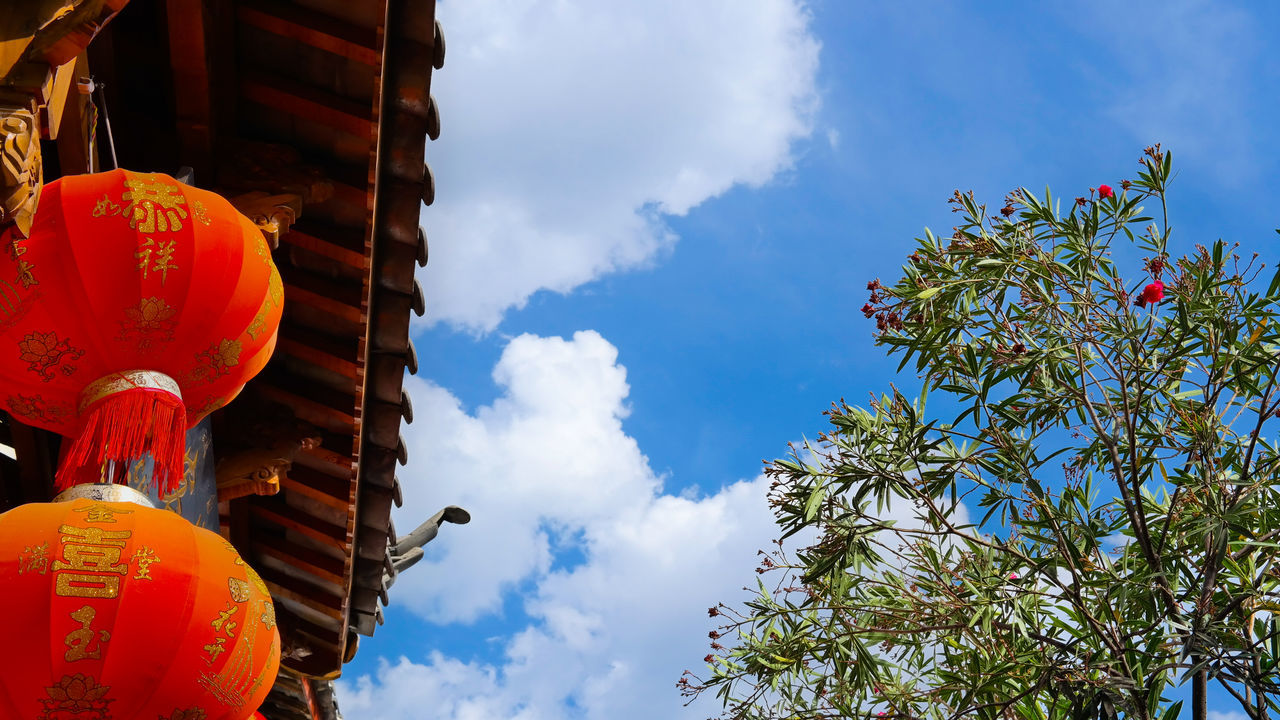 low angle view, sky, tree, built structure, building exterior, architecture, cloud - sky, cloud, growth, blue, day, flower, outdoors, high section, nature, no people, multi colored, cloudy, beauty in nature, decoration