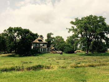 Trees and houses on field against sky