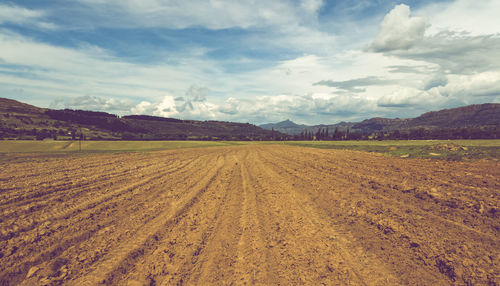 Scenic view of agricultural field against sky