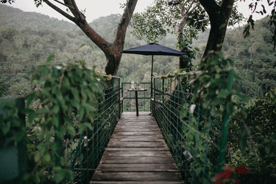 Wooden footbridge amidst trees