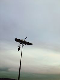 Low angle view of sky