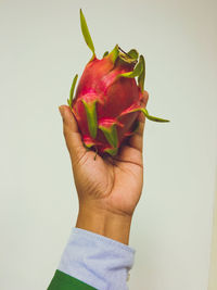 Cropped image of hand holding pitaya against white background