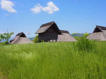 Houses on field against sky