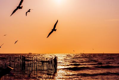 Silhouette of birds flying over sea against sky during sunset