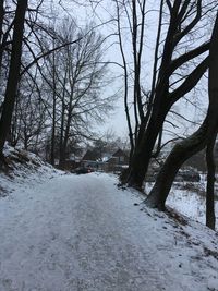 Snow covered trees against sky