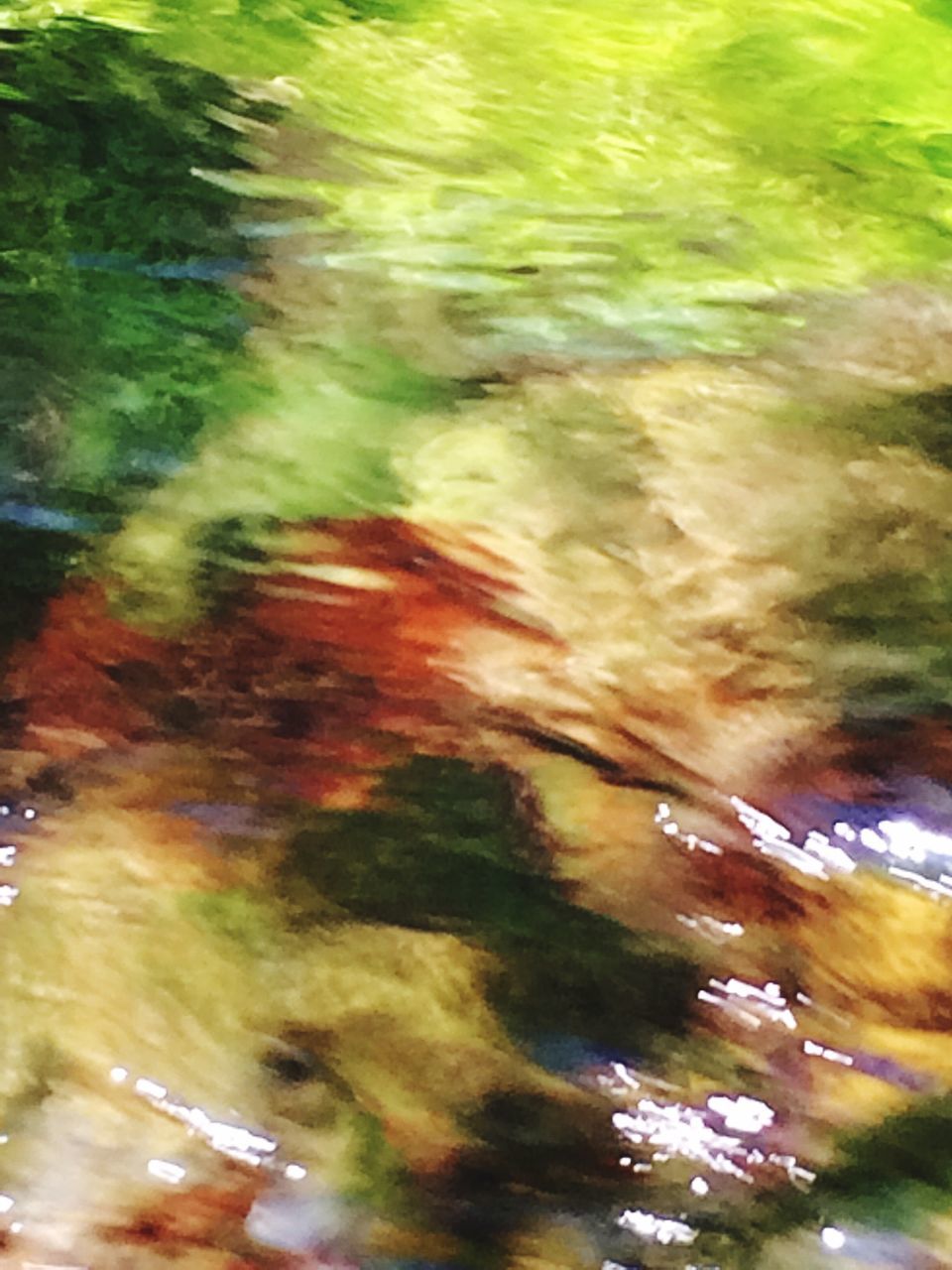 abstract, blurred motion, motion, no people, nature, outdoors, backgrounds, full frame, water, multi colored, day, close-up, defocused, beauty in nature, tree