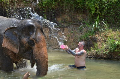 Full length of elephant in a river