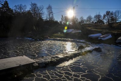 Sun shining through trees