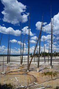 Scenic view of landscape against cloudy sky