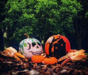 View of pumpkins against trees