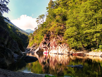 Scenic view of river in forest against sky