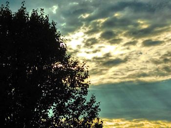 Silhouette of trees against cloudy sky