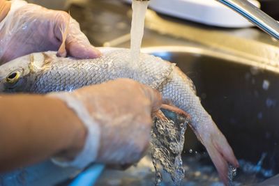 Close-up of hand feeding in water