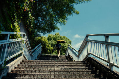 Low angle view of staircase