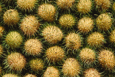 Full frame shot of rambutans