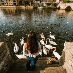 Rear view of woman standing by lake