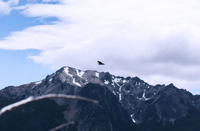 Bird flying over mountain against sky