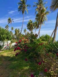 Scenic view of sea and trees against sky