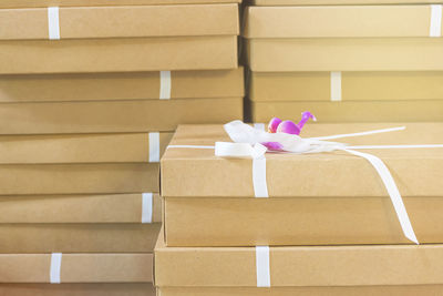 Close-up of white flowers in box