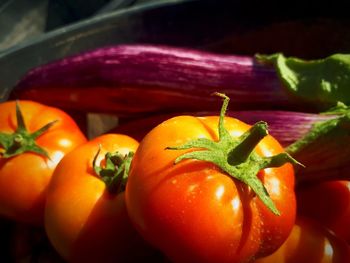 Close-up of tomatoes