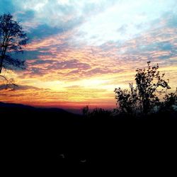 Silhouette trees against sky during sunset