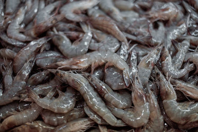 Full frame shot of fish for sale in market
