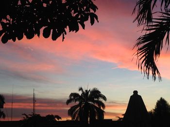 Silhouette of palm trees at sunset