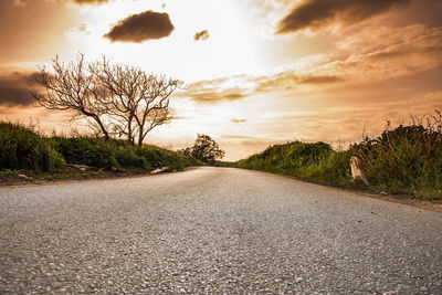 Road amidst bare trees against sky