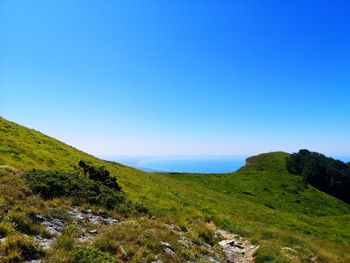 Scenic view of landscape against clear blue sky