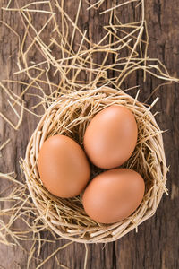 Close-up of eggs in nest