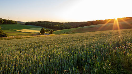 Scenic view of agricultural field in rural landscape at sunset with view on valley in werbach